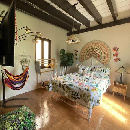 The Garden Apartment, The Willow Apartment, & The Tropical Apartment At Casa Of Essence In Old San Juan Eksteriør bilde