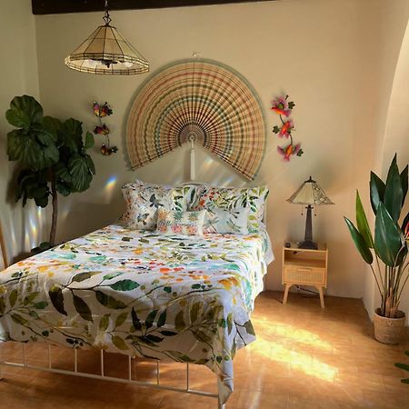 The Garden Apartment, The Willow Apartment, & The Tropical Apartment At Casa Of Essence In Old San Juan Eksteriør bilde