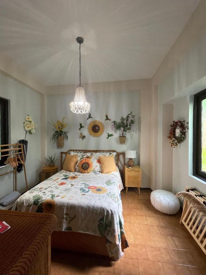 The Garden Apartment, The Willow Apartment, & The Tropical Apartment At Casa Of Essence In Old San Juan Eksteriør bilde