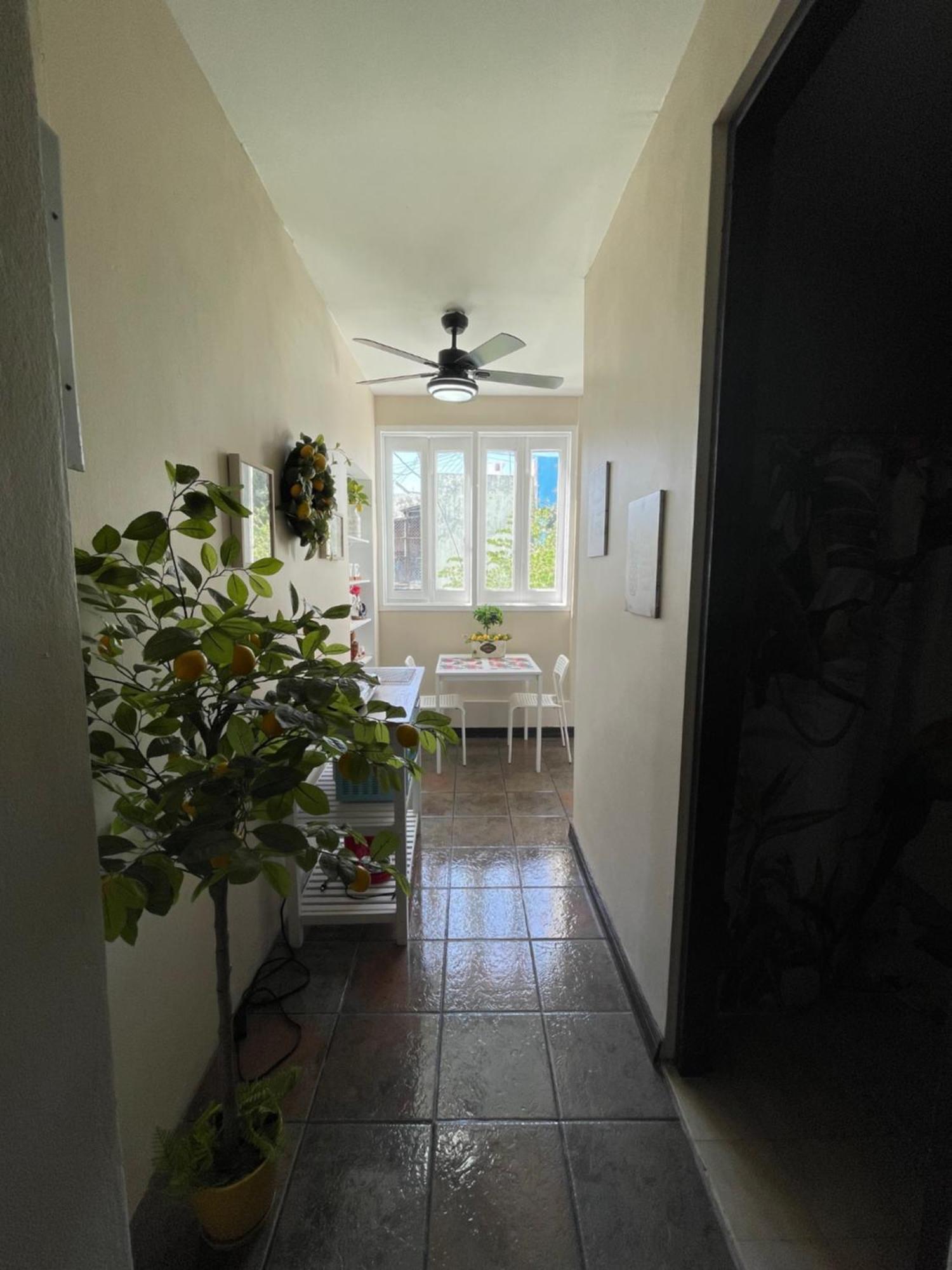 The Garden Apartment, The Willow Apartment, & The Tropical Apartment At Casa Of Essence In Old San Juan Eksteriør bilde