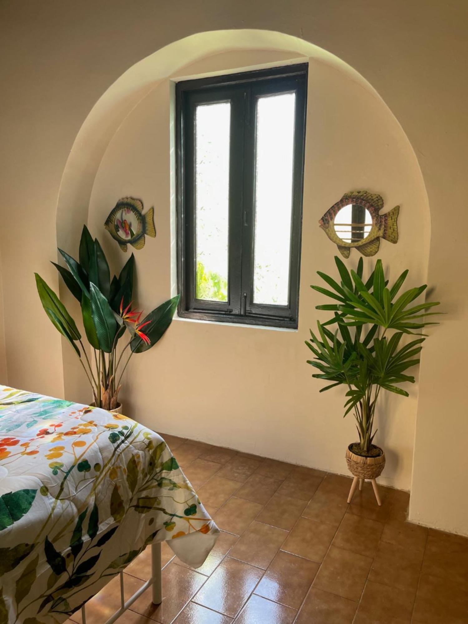 The Garden Apartment, The Willow Apartment, & The Tropical Apartment At Casa Of Essence In Old San Juan Eksteriør bilde