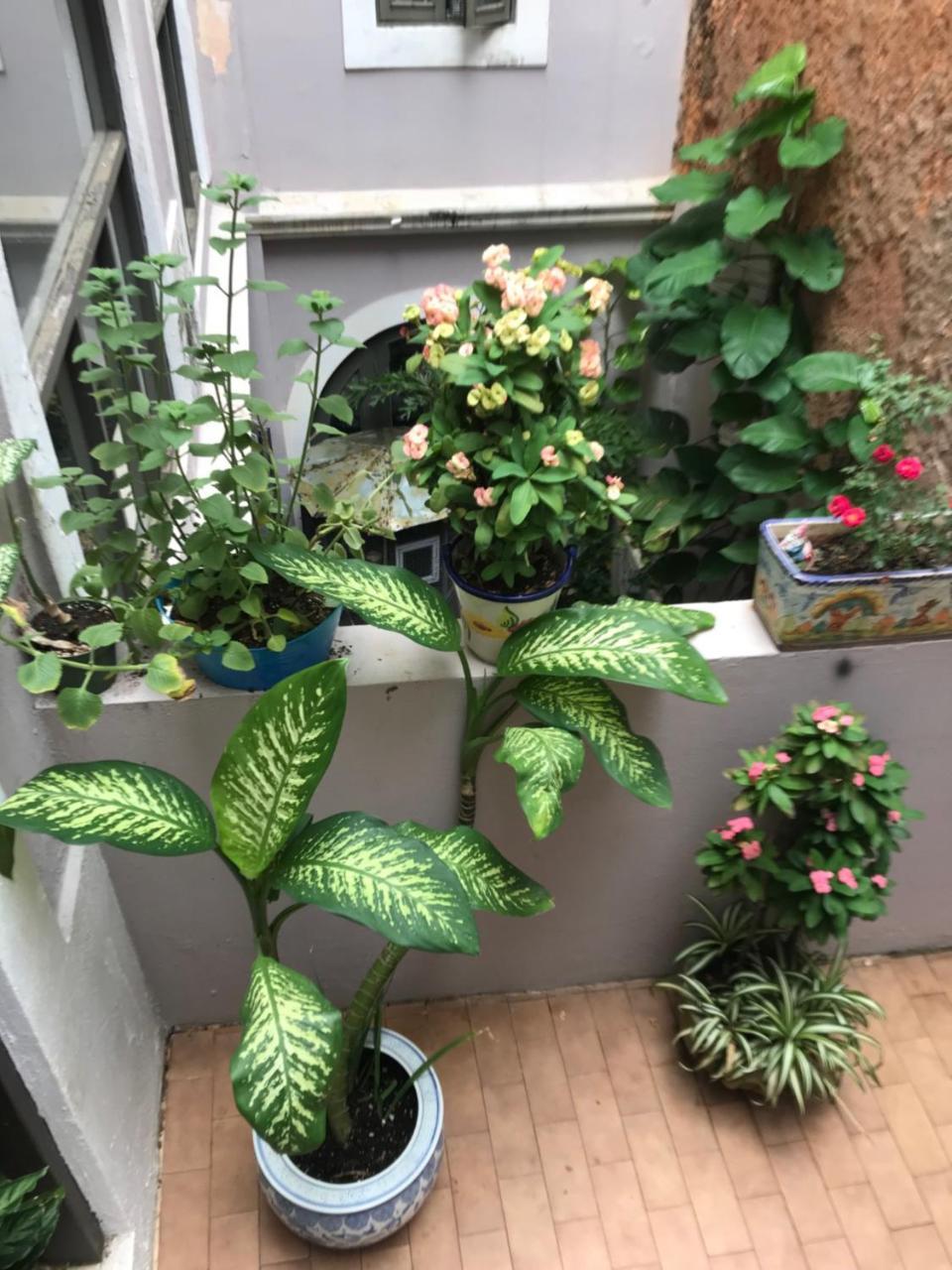 The Garden Apartment, The Willow Apartment, & The Tropical Apartment At Casa Of Essence In Old San Juan Eksteriør bilde