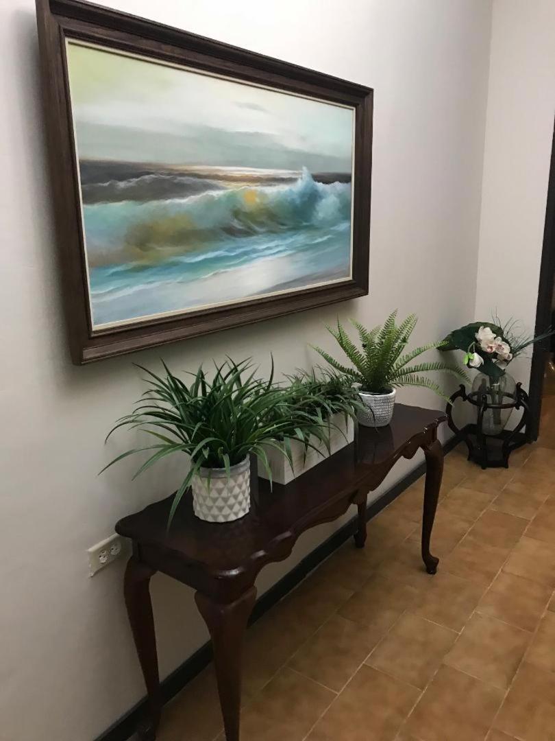 The Garden Apartment, The Willow Apartment, & The Tropical Apartment At Casa Of Essence In Old San Juan Eksteriør bilde